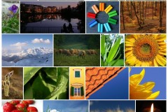 Google Photos in WordPress